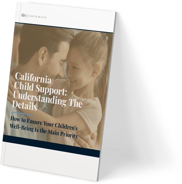 cm-child-support-guide-cover